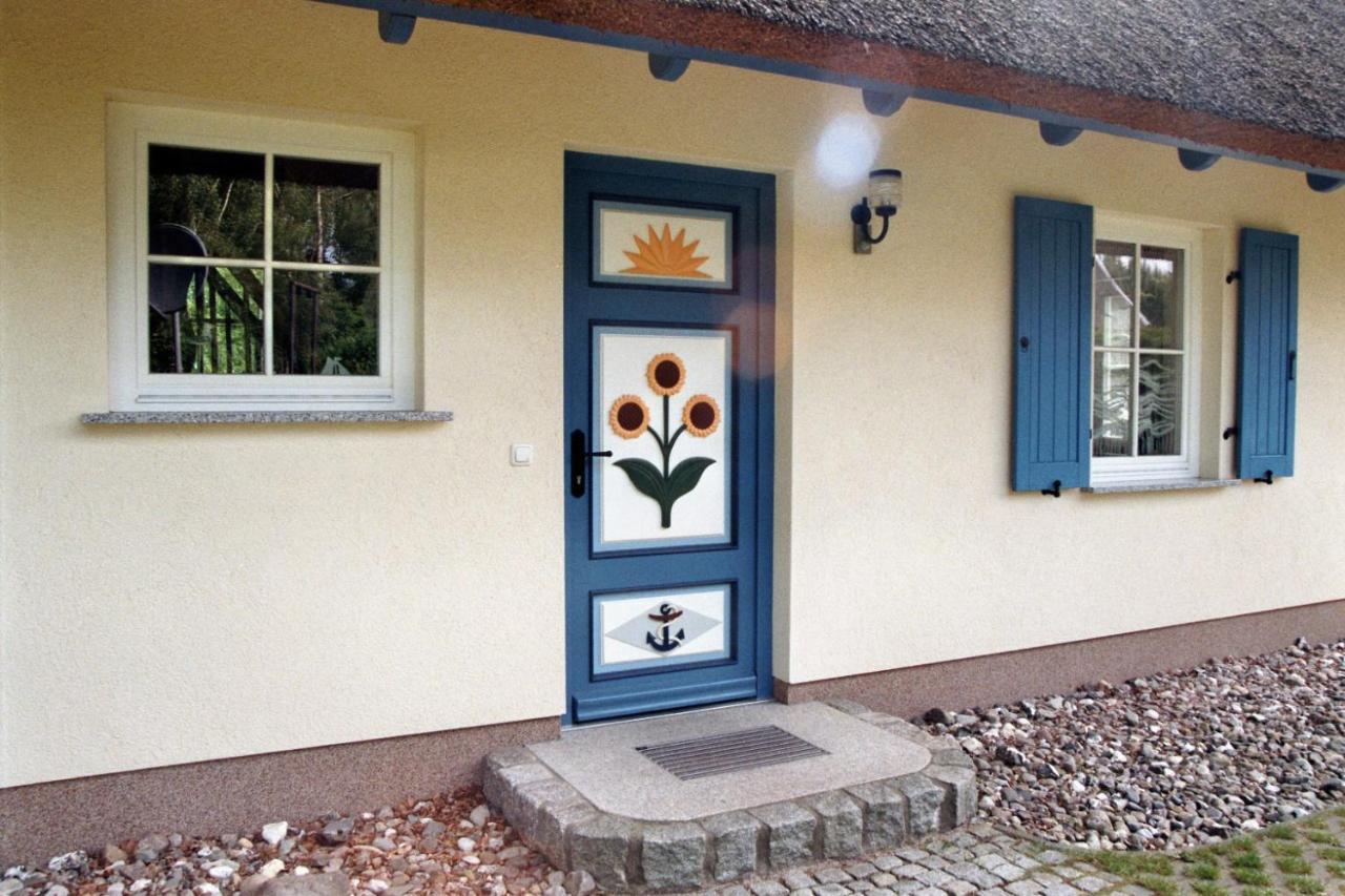 Ferienhaus Mine Sehnsucht 디르하겐 외부 사진